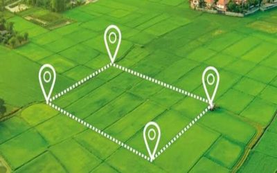 WhatsApp Image 2024-01-11 at 12.19.59 PM